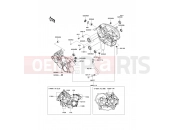 KAWASAKI 2010 Crankcase