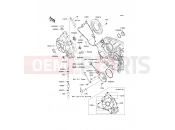 KAWASAKI 2012 Engine Cover(s)