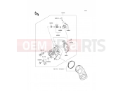 KAWASAKI 2014 Throttle