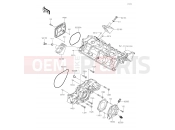 KAWASAKI 2019 Engine Cover(s)