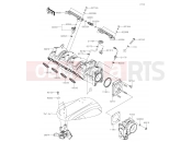 KAWASAKI 2019 Throttle