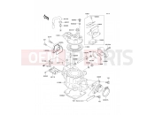 KAWASAKI 2008 Cylinder Head/Cylinder