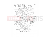 KAWASAKI 2009 Crankcase