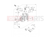 KAWASAKI 2011 Throttle