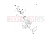 KAWASAKI 2014 Cylinder/Piston(s)