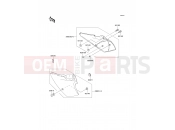 KAWASAKI 2000 Side Covers/Chain Cover