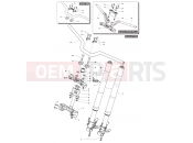 MV Agusta Dragster 800 RR LH Front Suspension Assembly