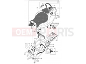 MV Agusta 2002-2003 F4 750S 1+1 Rear Fairing (double seat)