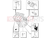 MV Agusta 2008-2009 F4 312RR 1078 Engine Electric System