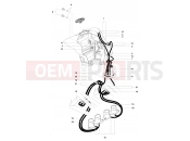 MV Agusta 2013-2015 F4 RR Carbon Canister Assy USA