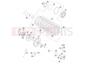 KTM 450 EXC       SIX DAYS (8403L2) [EU] 2012 CLUTCH