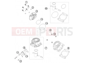 KTM 50 SX MINI (6001K5) [EU] 2011 CYLINDER, CYLINDER HEAD