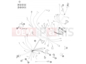 KTM 690  SUPERMOTO LIM.ED (9703I1) [EU] 2009 WIRING HARNESS