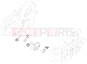 KTM 450 XC ATV (8401IQ) [EU] 2009 BALANCER SHAFT