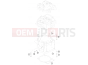 KTM 450 XC ATV (8401IQ) [EU] 2009 CYLINDER