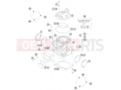 KTM 250 SX (6301I0) [EU] 2009 CYLINDER, CYLINDER HEAD