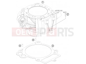 KTM 690 SMC (9760H4) [AU, GB] 2008 CYLINDER