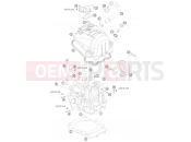 KTM 690 SMC (9760H4) [AU, GB] 2008 CYLINDER HEAD
