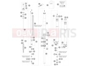 KTM 250 XCF-W (8176H9) [ZA] 2008 FRONT FORK DISASSEMBLED