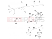 KTM 250 XCF-W (8176H9) [ZA] 2008 WIRING HARNESS