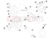 KTM 50 SX (6001H4) [EU] 2008 CYLINDER, CYLINDER HEAD