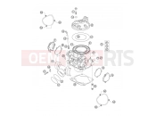 KTM 250 XC-W (7376G3) [ZA] 2007 CYLINDER, CYLINDER HEAD