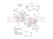 KTM 300 EXC (7403G0) [EU] 2007 ENGINE CASE