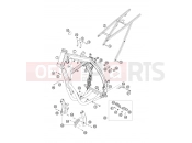 KTM 250 EXC-F SIX DAYS (8103G2) [EU] 2007 FRAME