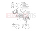 KTM 250 EXC-F SIX DAYS (8103G2) [EU] 2007 ENGINE CASE