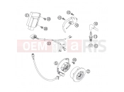 KTM 250 SX (6301G0) [EU] 2007 IGNITION SYSTEM