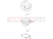 KTM 450 RALLY FACTORY REPLICA (F9399P8) [EU] 2016 CYLINDER