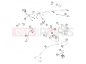 KTM 450 EXC-G RACING (8475D8) [US] 2004 WIRING HARNESS