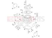 KTM 250 SX (6301D0) [EU] 2004 CYLINDER, CYLINDER HEAD