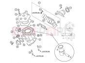 KTM 65 SX (6001D6) [EU] 2004 CYLINDER, CYLINDER HEAD