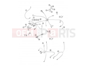 KTM 300 EXC (7403F0) [EU] 2006 WIRING HARNESS