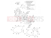 KTM 450 EXC RACING  SIX-DAYS (8403E2) [EU] 2005 ENGINE CASE
