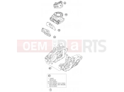 KTM 125 SX (6101E0) [EU] 2005 NEW PARTS