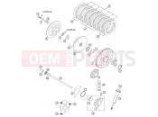 KTM 525 EXC RACING (850333) [EU] 2003 CLUTCH