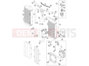 KTM 525 EXC RACING (850333) [EU] 2003 COOLING SYSTEM
