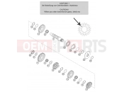 KTM 250 SX (630130) [EU] 2003 TRANSMISSION II - COUNTERSHAFT