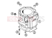 KTM 640 LC4-E Super-Moto ROT (972620) [EU] 2002 CYLINDER