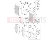 KTM 400 SX RACING (830125) [EU] 2002 COOLING SYSTEM