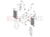 KTM 250 SX (630120) [EU] 2002 COOLING SYSTEM