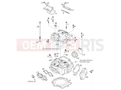 KTM 400 SX RACING (830205) [EU] 2000 CYLINDER HEAD