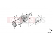 HONDA CRF250L 2016 E-14 OIL PUMP