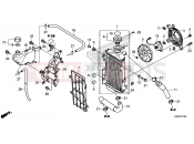 HONDA CRF250L 2016 F-41 RADIATOR