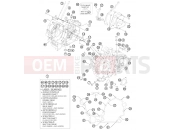 KTM 990 ADVENTURE WHITE ABS 11 (9860L6) [AU, GB] 2012 ENGINE CASE