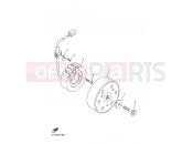 YAMAHA FZS 1000 FZ1 Fazer FZS1000 FAZER (5LV8) 2002 GENERATOR