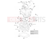 KTM 690 ENDURO 09 (9703I6) [EU] 2009 CYLINDER HEAD