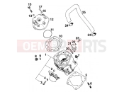 KTM 125 SX MARZ/ÖHL (610250) [EU] 1995 CYLINDER